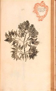 n374_w1150