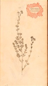 n134_w1150