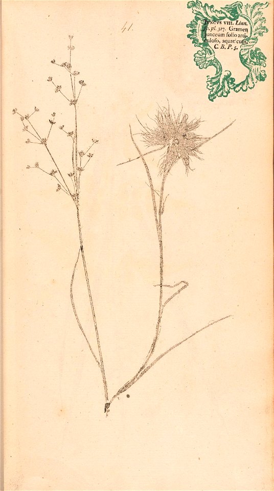 n104_w1150