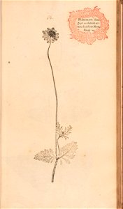 n192_w1150