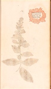 n132_w1150