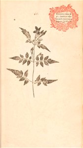 n102_w1150