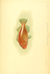 n876_w1150