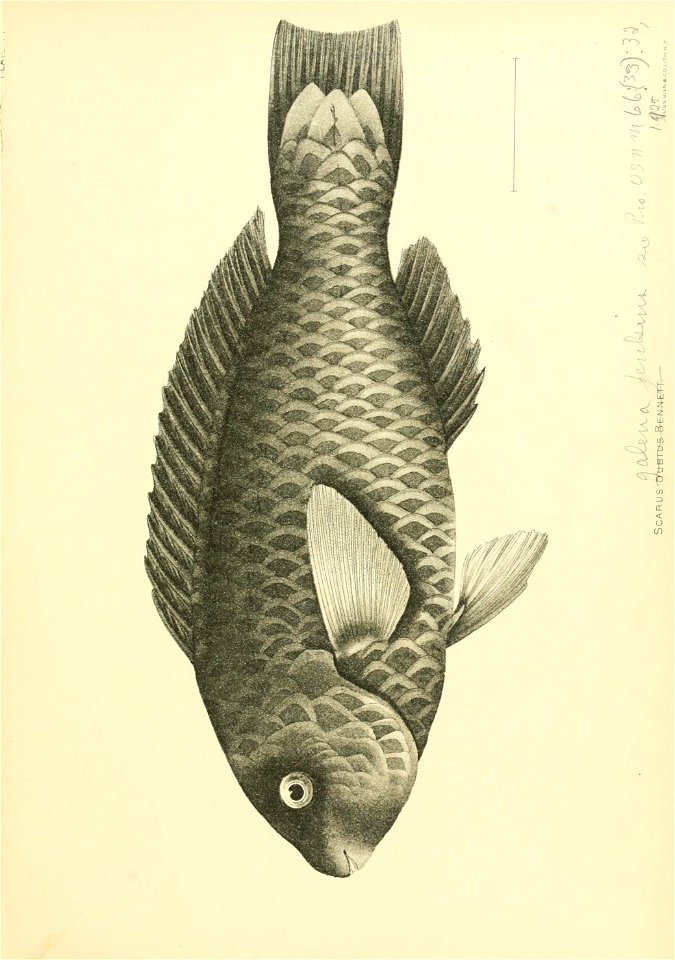 n472_w1150