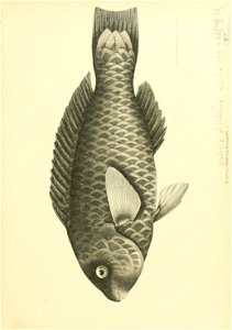 n472_w1150