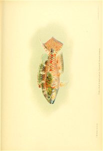 n814_w1150
