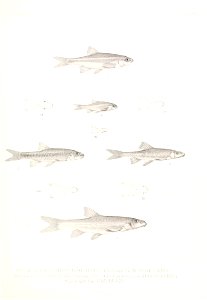 n768_w1150