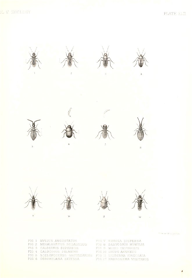n938_w1150