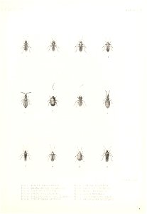 n938_w1150