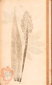 n518_w1150