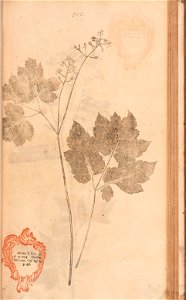 n428_w1150