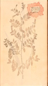 n158_w1150