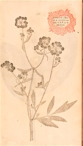 n128_w1150