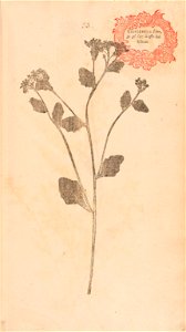 n68_w1150