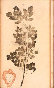 n576_w1150