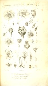 n105_w1150