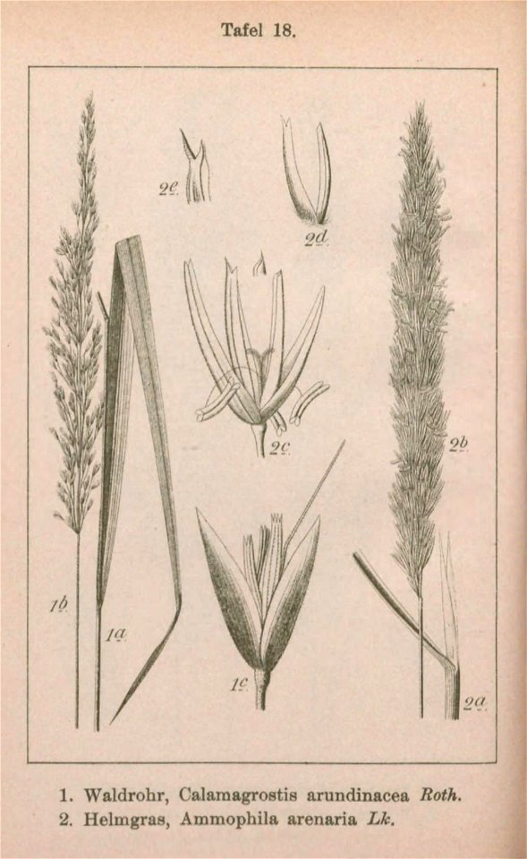 n193_w1150