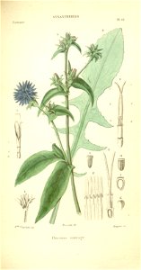 n149_w1150