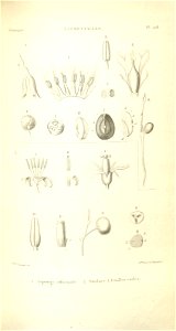 n176_w1150
