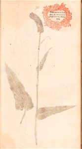 n174_w1150