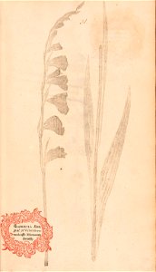 n84_w1150