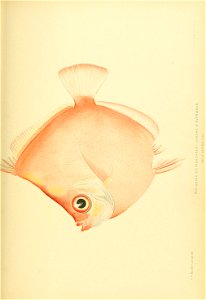n828_w1150