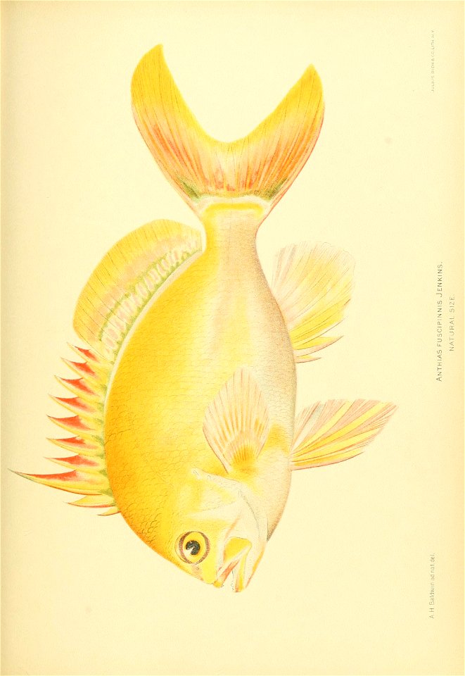 n768_w1150