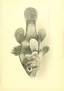 n314_w1150