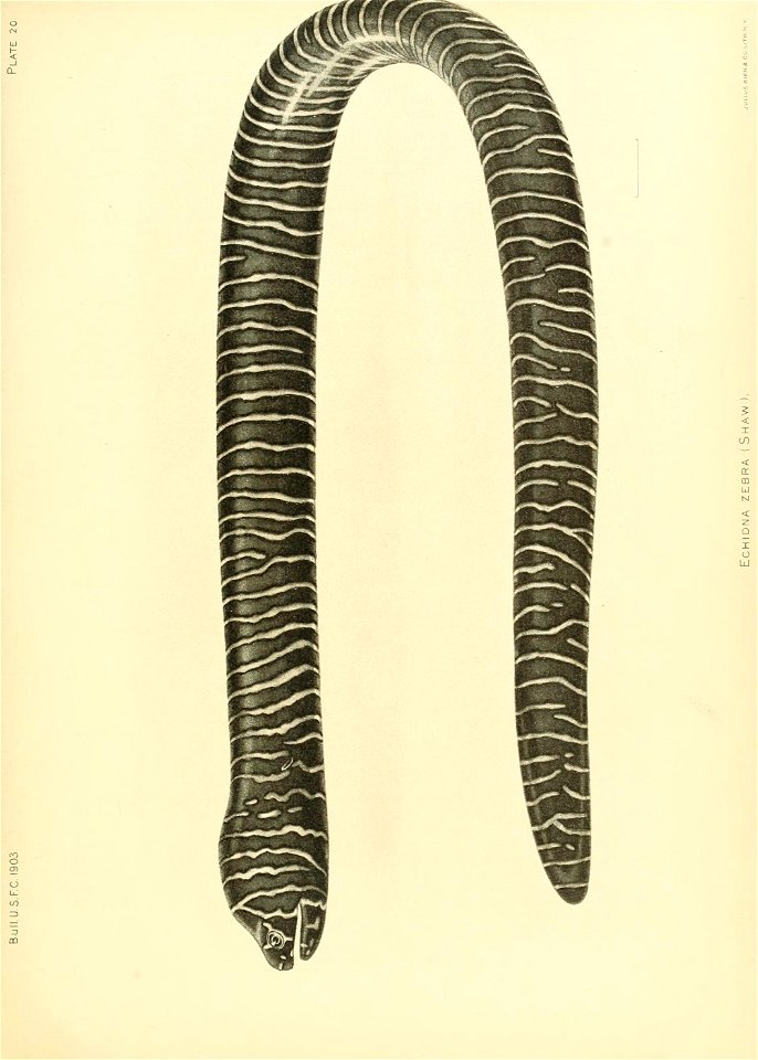 n180_w1150