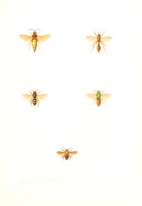 n812_w1150