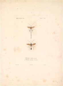 n142_w1150