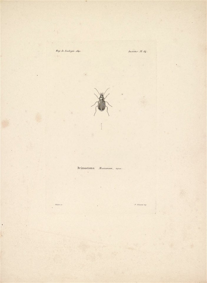 n280_w1150