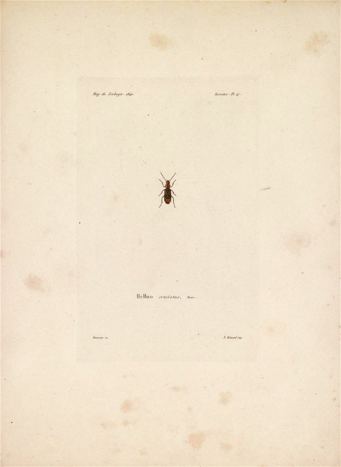 n214_w1150