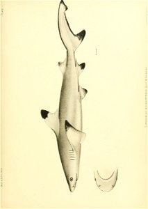 n74_w1150