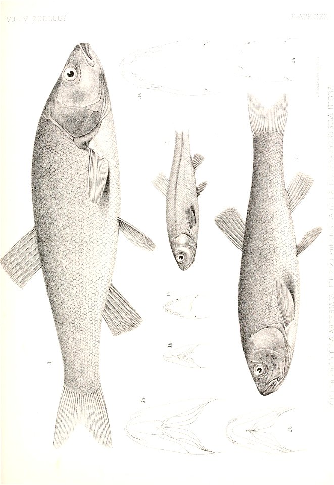 n774_w1150