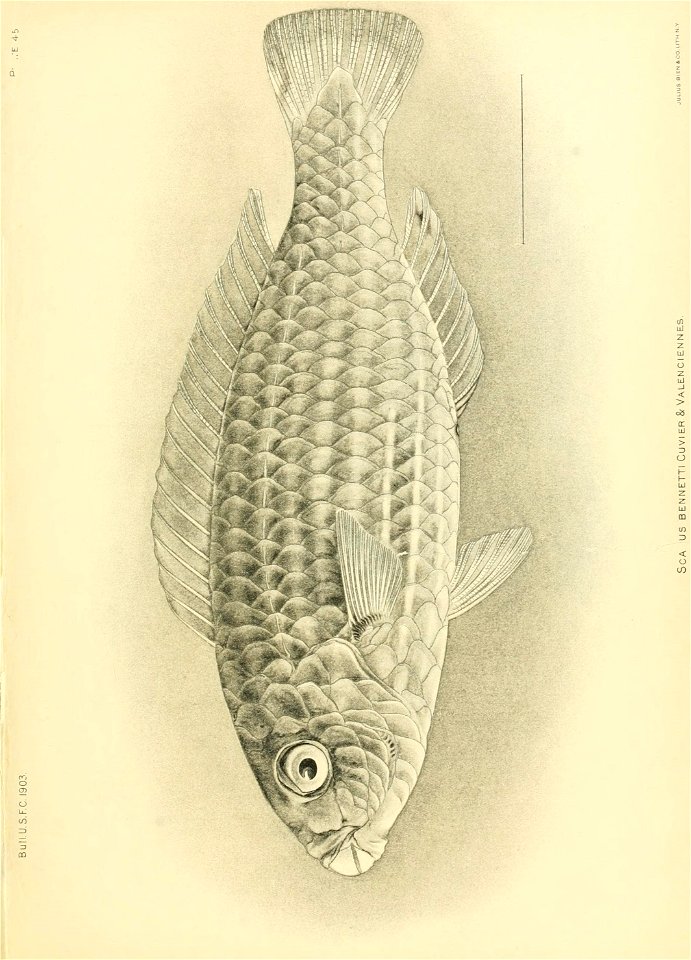 n476_w1150