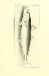 n280_w1150