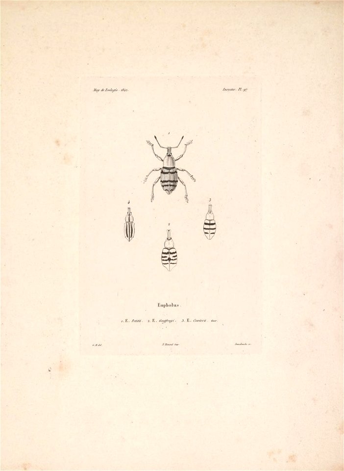 n180_w1150