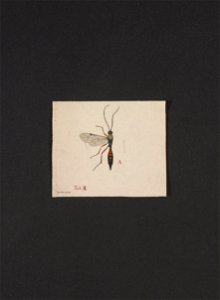n74_w1150