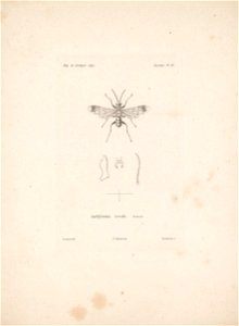 n22_w1150