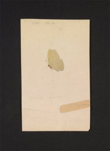 n182_w1150