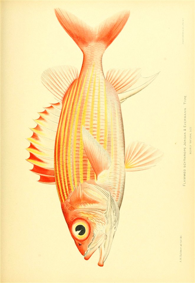 n752_w1150