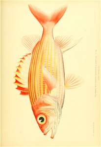 n752_w1150