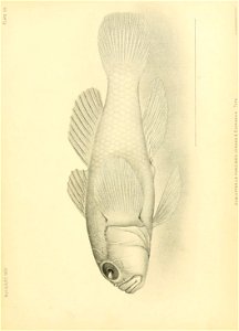 n630_w1150