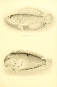 n434_w1150