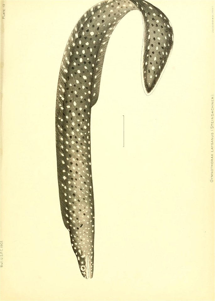 n152_w1150