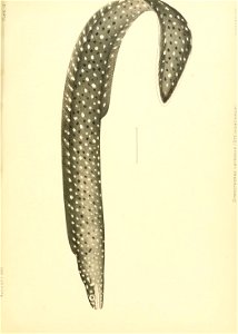 n152_w1150