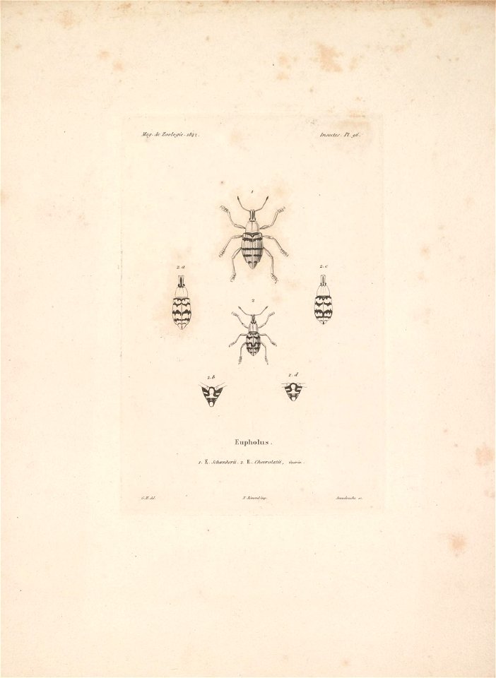 n170_w1150