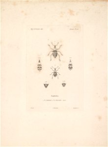 n170_w1150