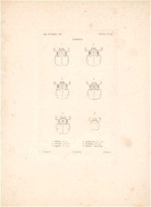 n14_w1150